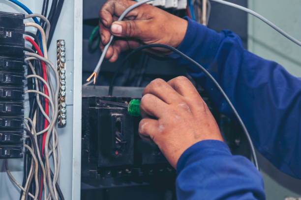Best Electric Panel Repair  in South Gull Lake, MI